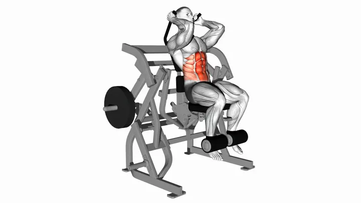 Ab Crunch Machine