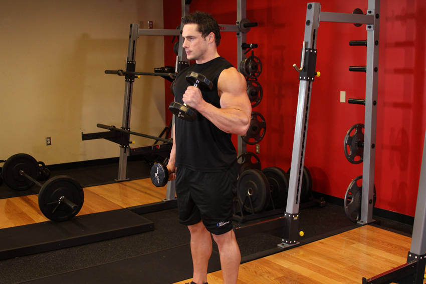 Alternate Hammer Curl, end position