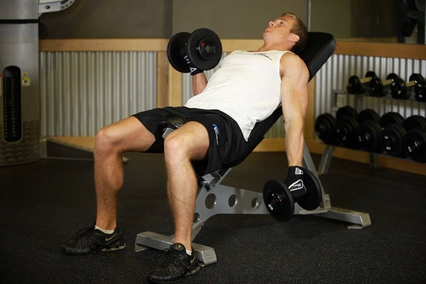 Alternate Incline Dumbbell Curl, end position