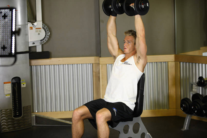 Arnold Press (Dumbbell), end position