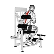 Back Extension (Machine)