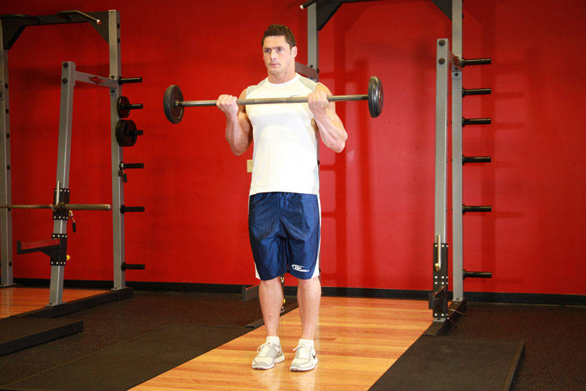 Barbell Curl, end position