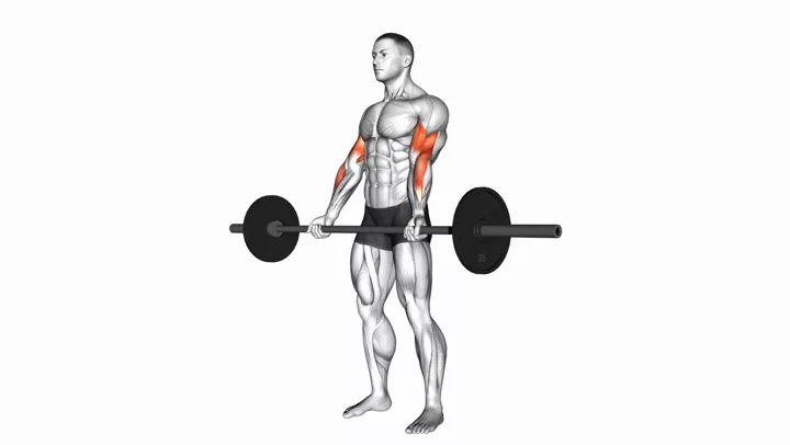 Barbell Curl