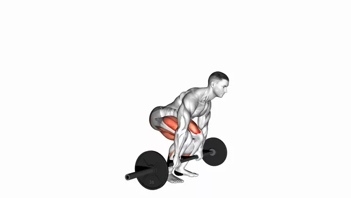 Barbell Deadlift