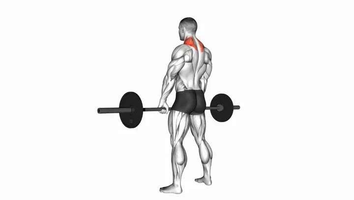 Barbell Shrug