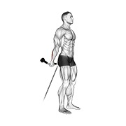 Behind the Back Curl (Cable)