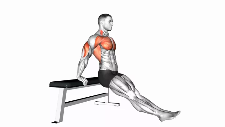 Bench Dips