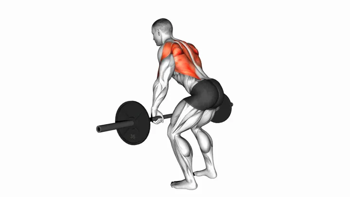 Bent Over Barbell Row