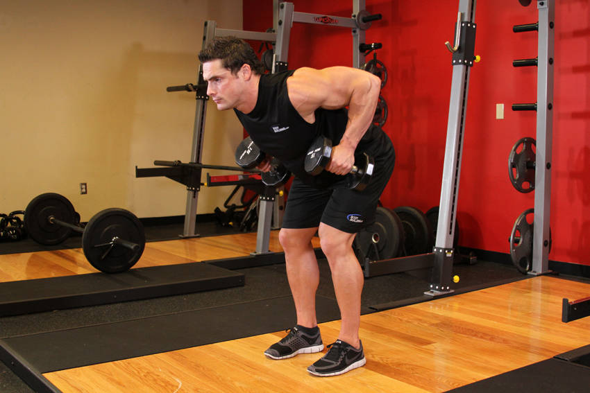 Bent Over Two-Dumbbell Row, end position