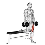 Bulgarian Split Squat (Dumbbell)