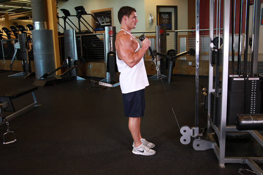 Cable Hammer Curls - Rope Attachment, end position