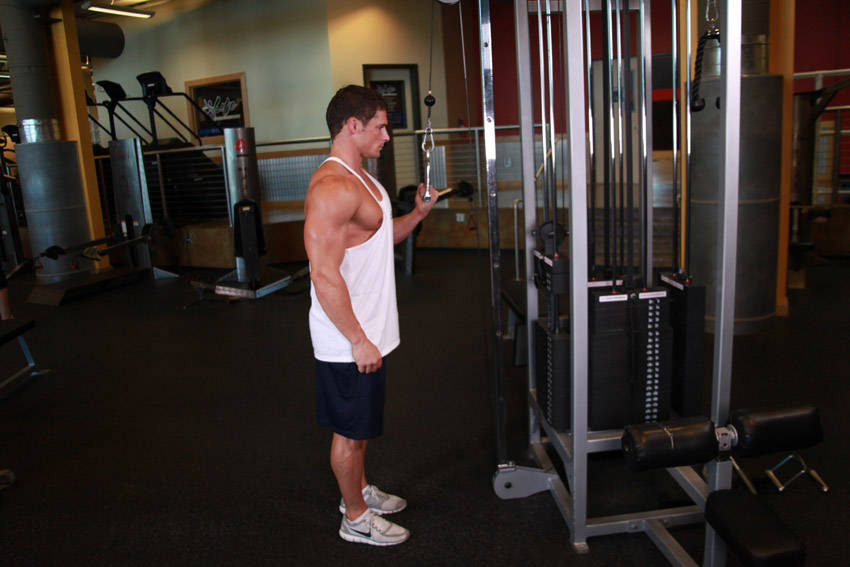Cable One Arm Tricep Extension, end position
