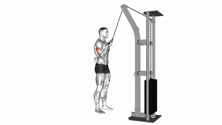Cable One Arm Tricep Pushdown