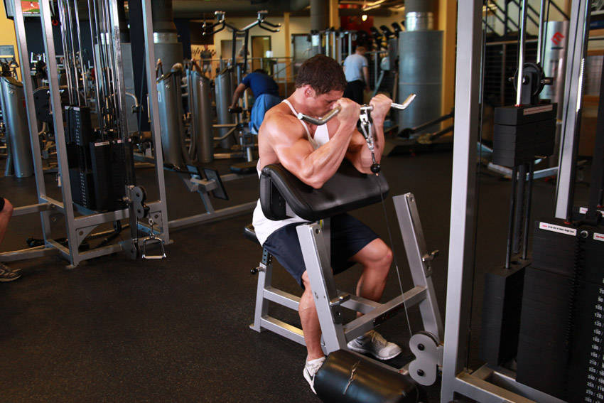 Cable Preacher Curl, end position