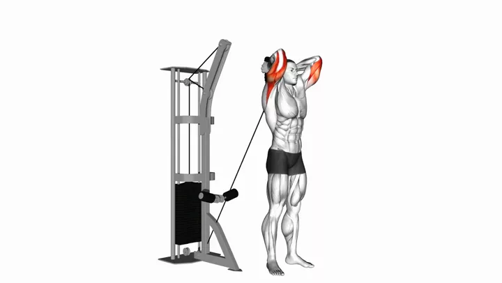Cable Rope Overhead Triceps Extension
