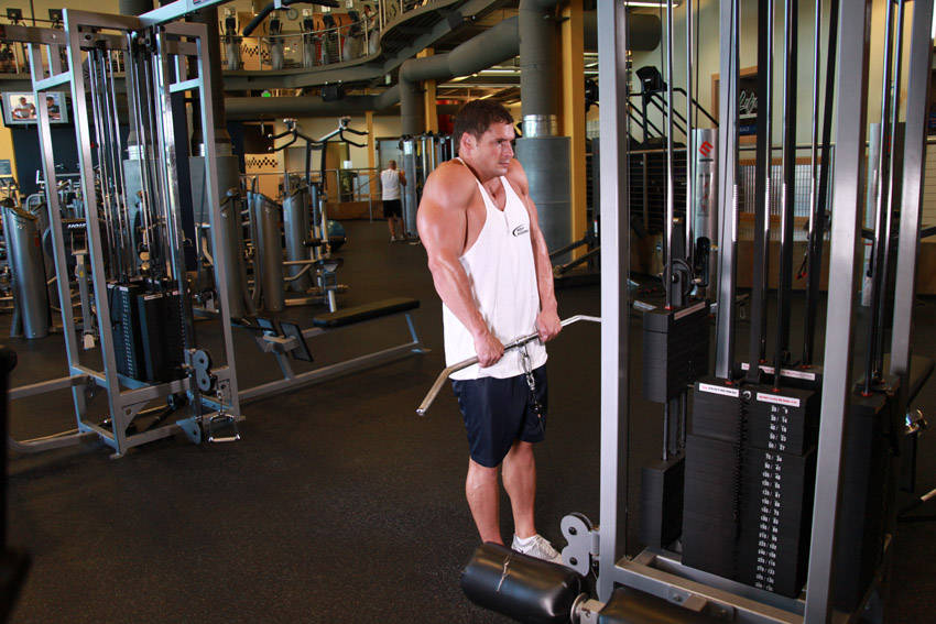Cable Shrugs, end position
