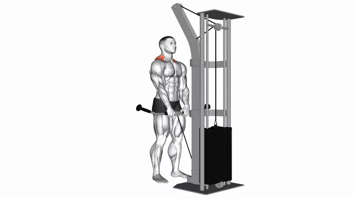 Cable Shrugs