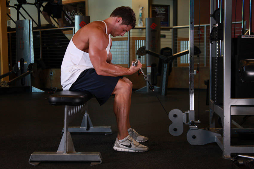 Cable Wrist Curl, end position