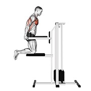 Chest Dip (Assisted)