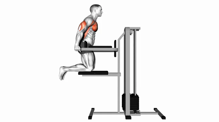 Chest Dip (Assisted)