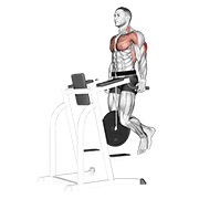 Chest Dip (Weighted)