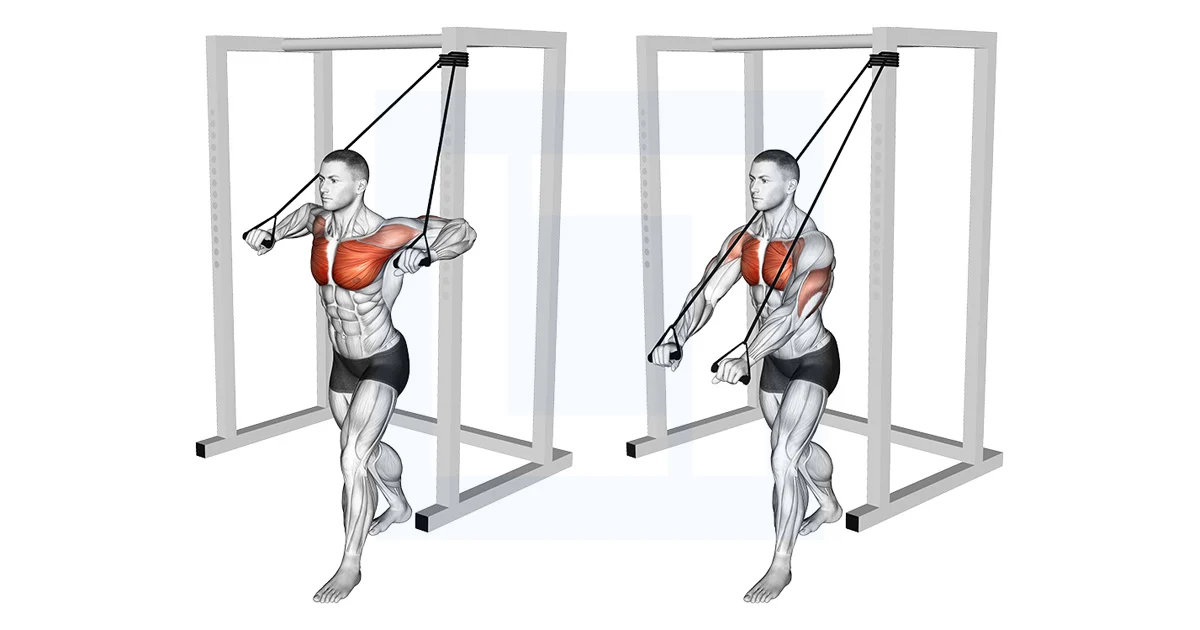 Chest Press (Band)