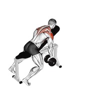 Chest Supported Y Raise (Dumbbell)