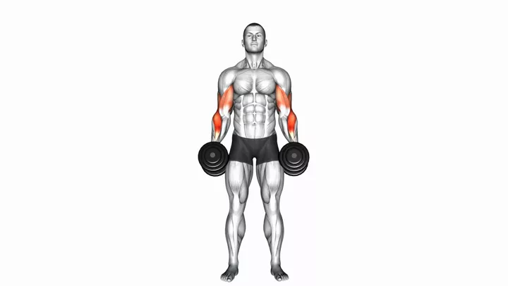 Cross Body Hammer Curl