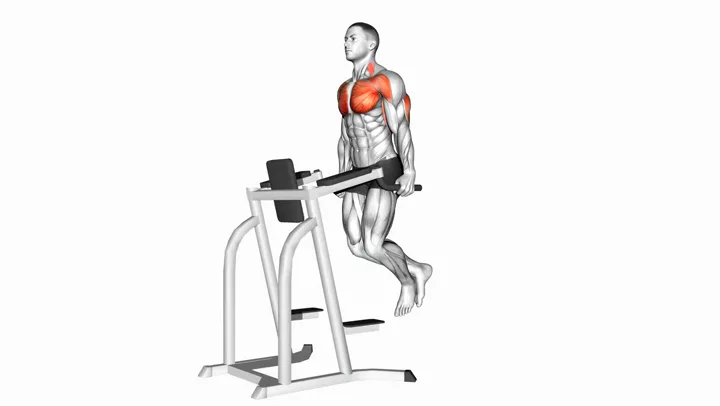Dips - Chest Version