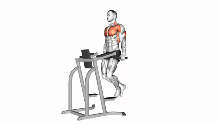 Dips - Triceps Version