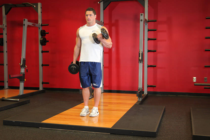 Dumbbell Alternate Bicep Curl, end position