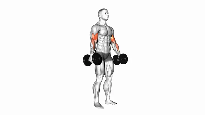 Dumbbell Bicep Curl