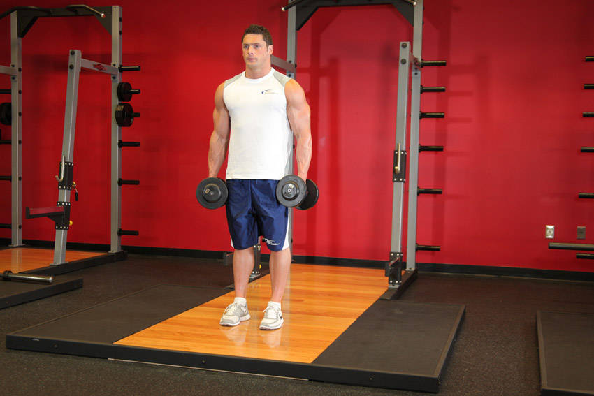Dumbbell Bicep Curl