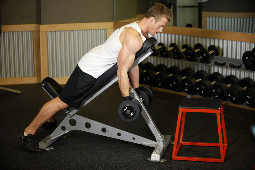 Dumbbell Prone Incline Curl, end position