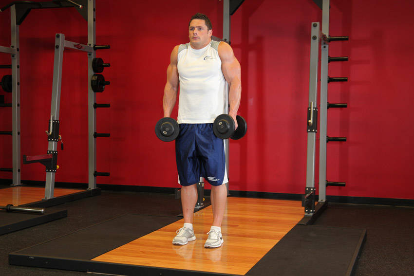 Dumbbell Shrug, end position