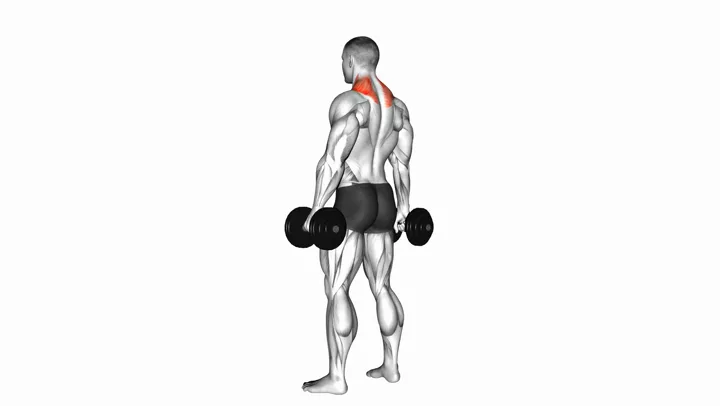 Dumbbell Shrug