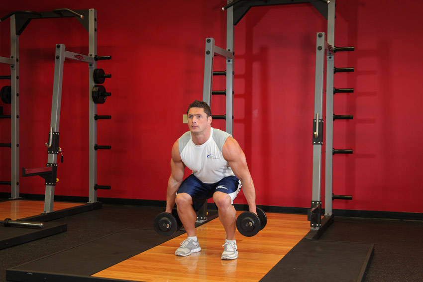 Dumbbell Squat, end position