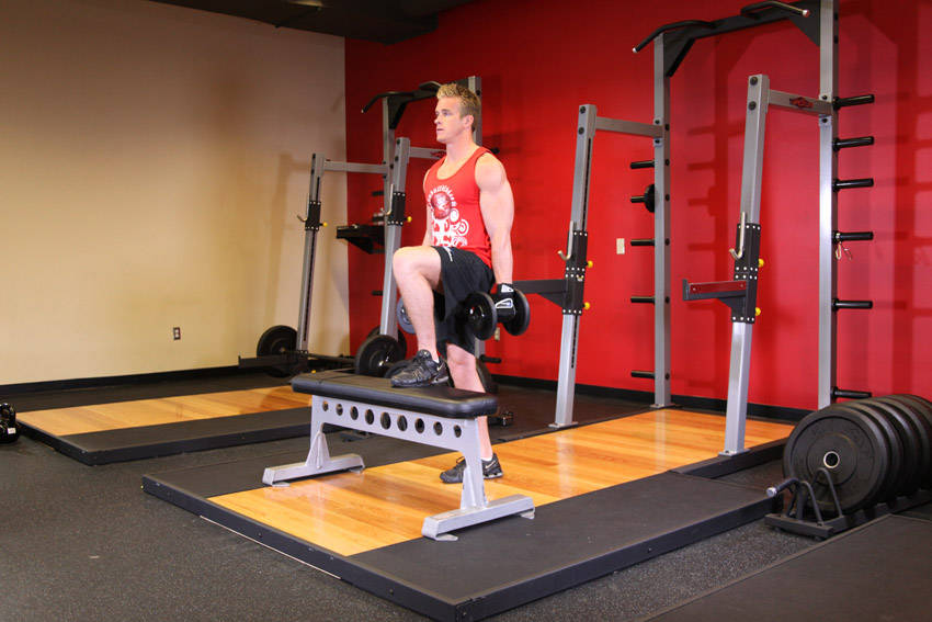Dumbbell Step Ups, end position