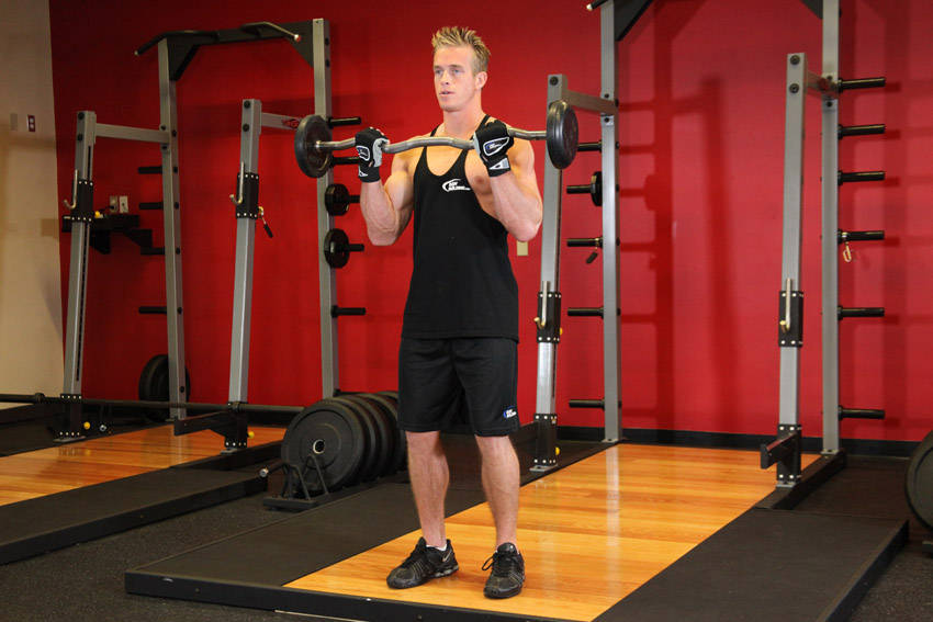 EZ-Bar Curl, end position