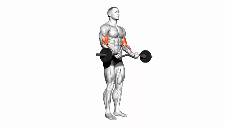 EZ-Bar Curl