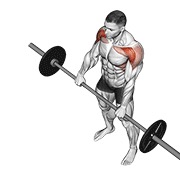 Front Raise (Barbell)