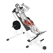 Hack Squat (Machine)