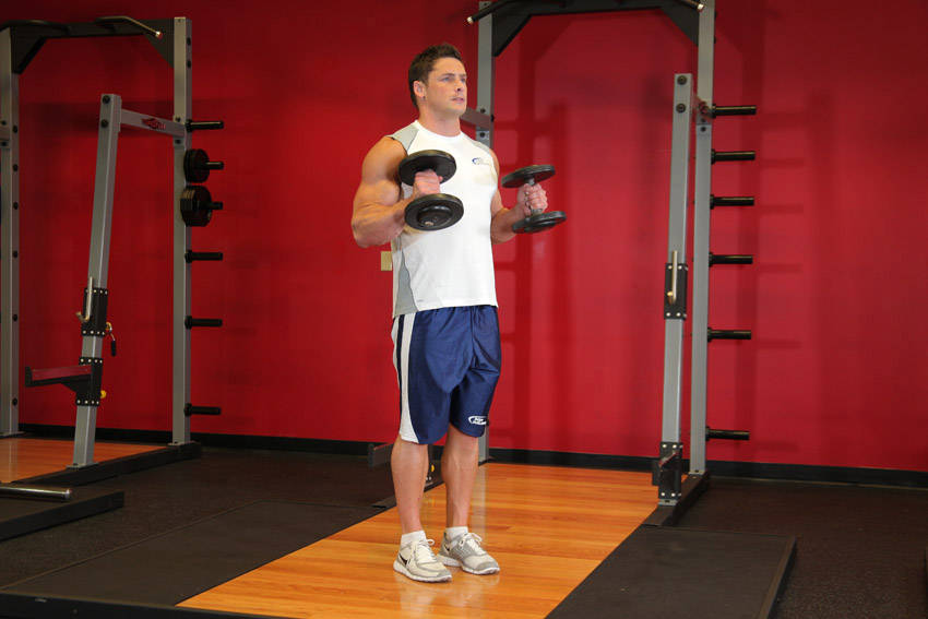 Hammer Curls, end position