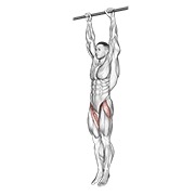 Hanging Knee Raise