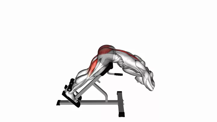 Hyperextensions (Back Extensions)
