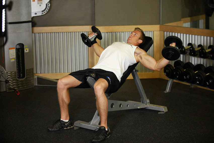Incline Dumbbell Flyes, end position