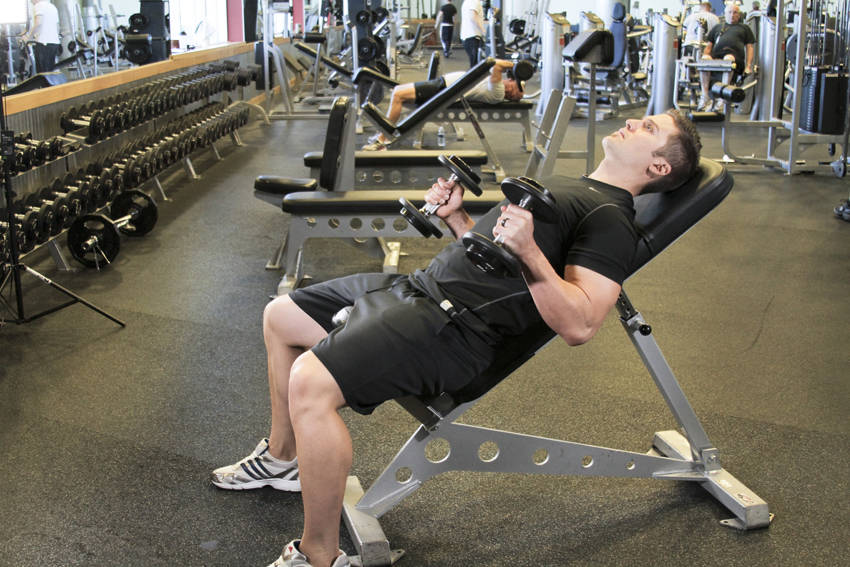 Incline Hammer Curls, end position