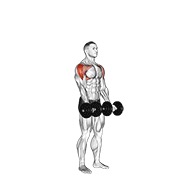 Kettlebell Around the World