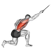 Kneeling Pulldown (band)