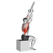 Lat Pulldown (Band)